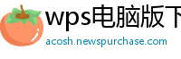 wps电脑版下载
